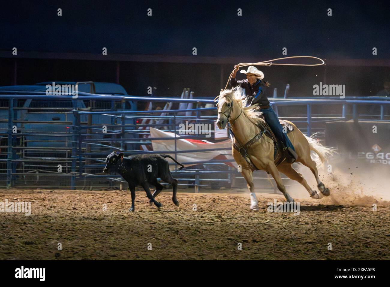 A cowgirl competing in the breakaway roping event chases a calf in a ...