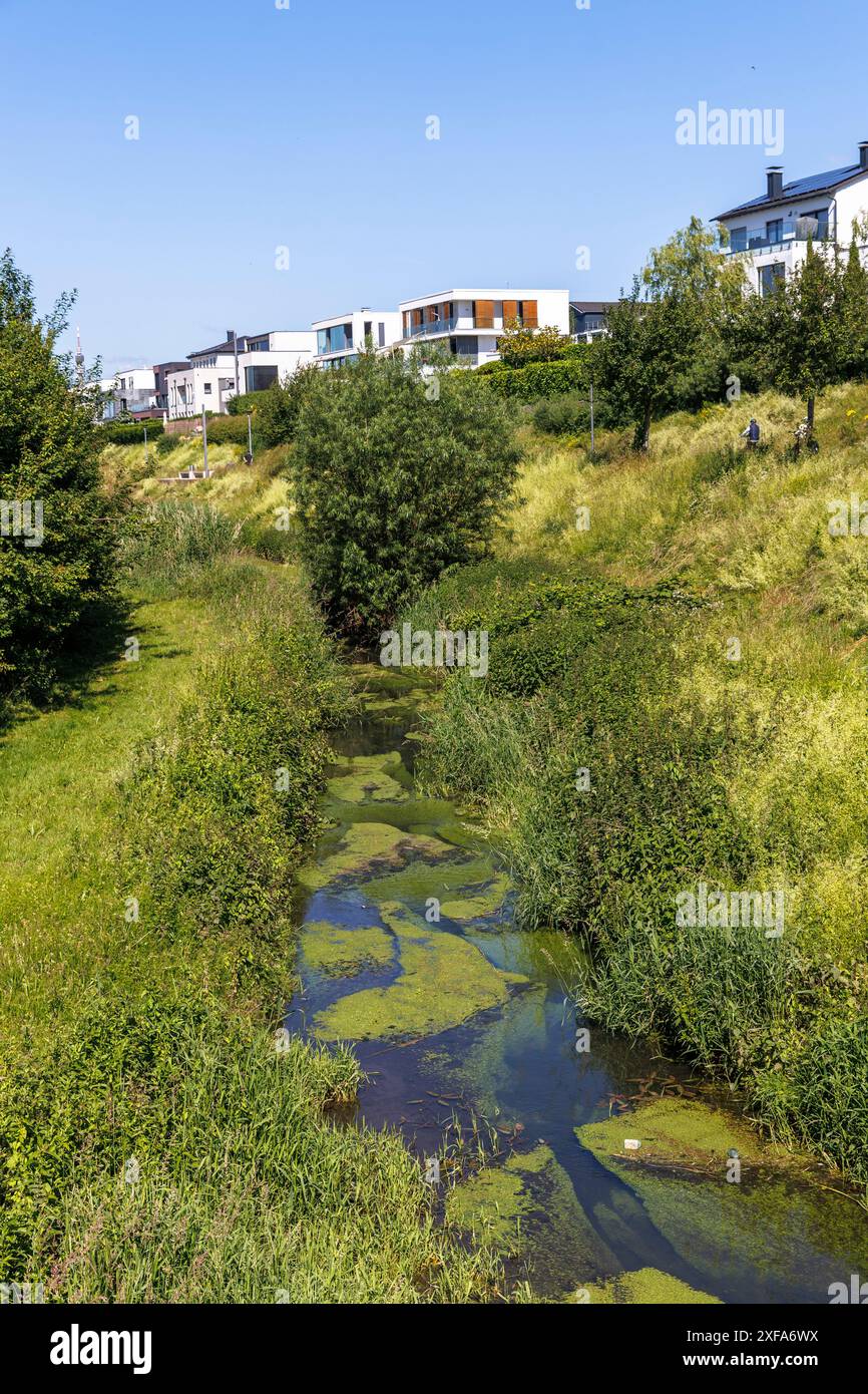 bed of the renaturalized Emscher in front of luxury properties on Lake ...