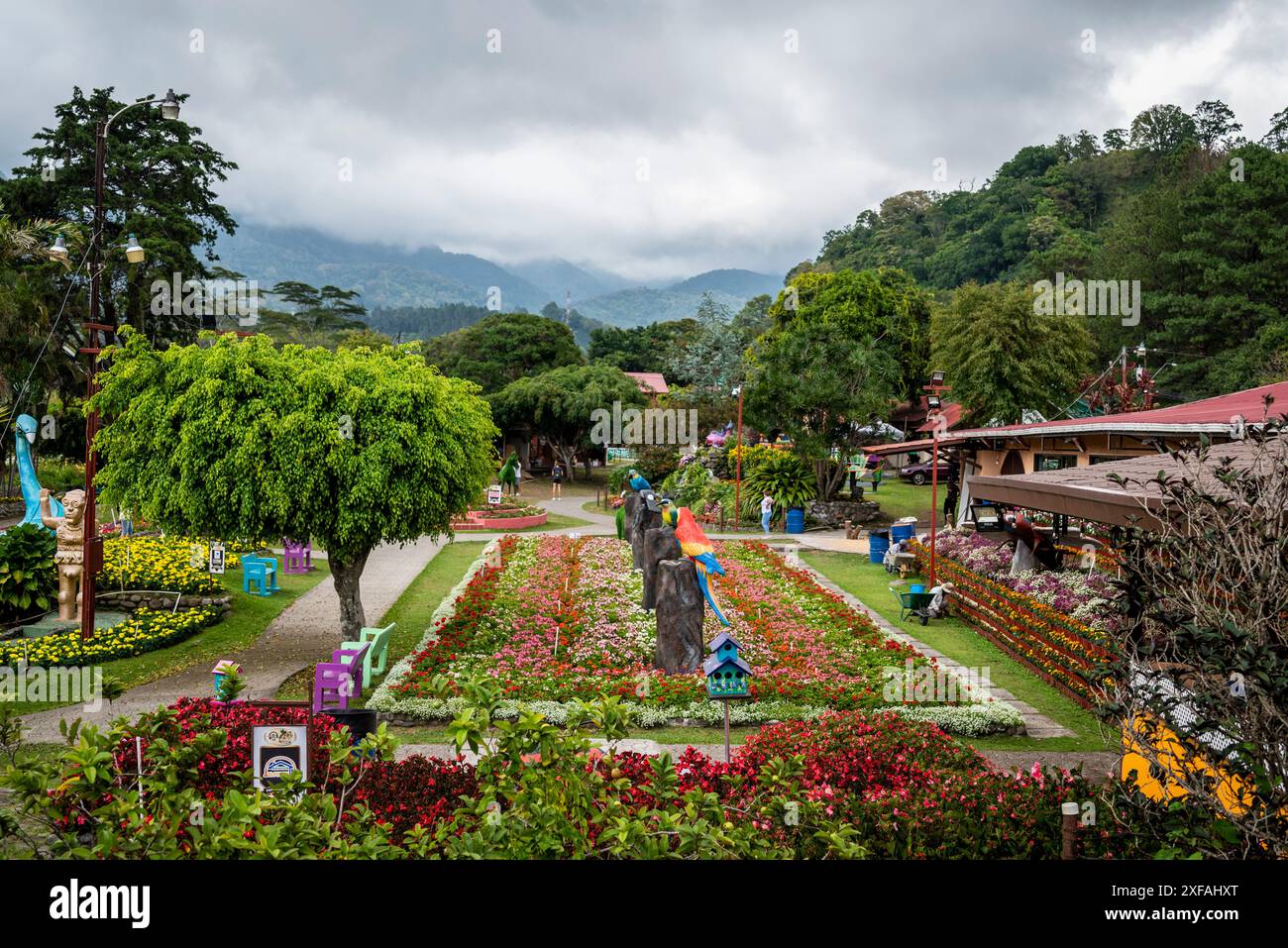 View of a colourful garden and landscape beyond with Baru volcano, , Boquete, a small mountain town in the Province of Chiriquí, Panama Stock Photo
