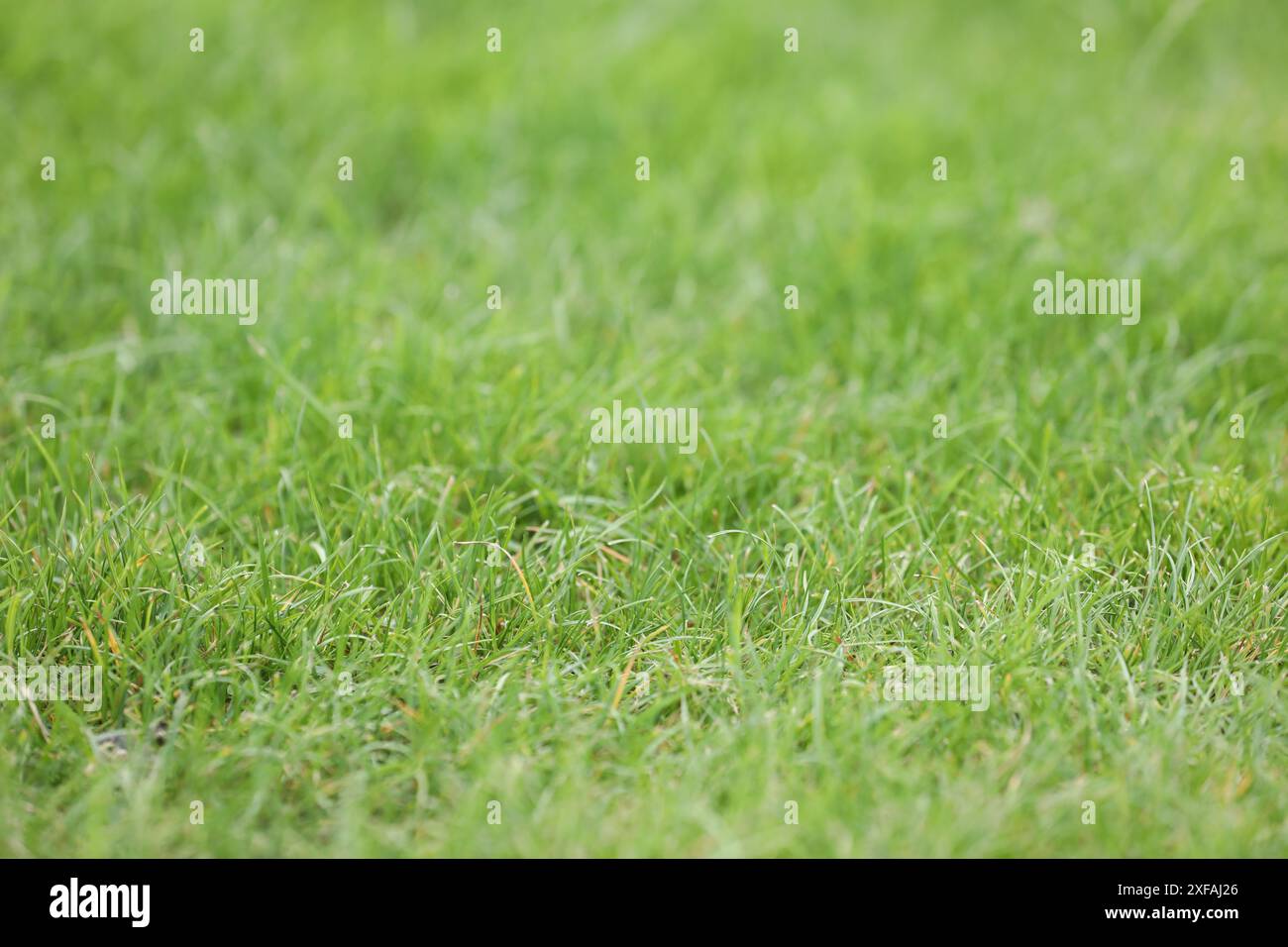 Freshness in summer hi-res stock photography and images - Alamy