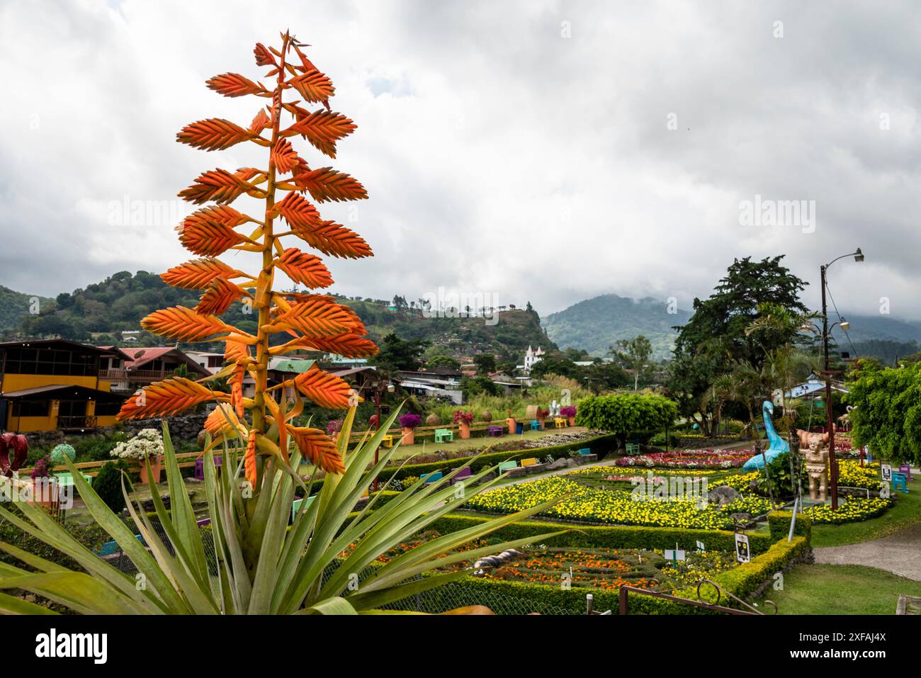 Tillandsia  plant and Colourful garden and nursery along the river in Boquete, a small mountain town in the Province of Chiriquí, Panama Stock Photo