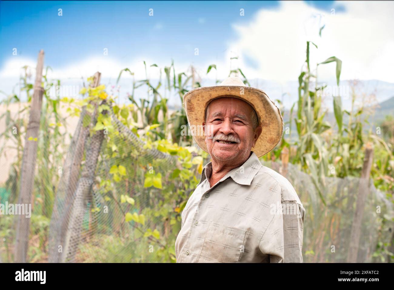 Old farmer in corn field hi-res stock photography and images - Alamy