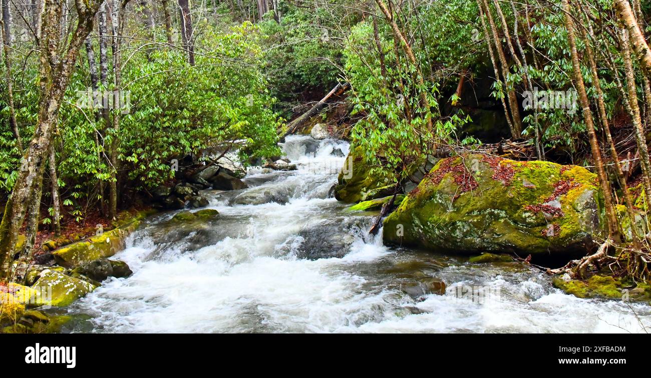Water rushes over rocky stream bed in Lamar Alexander Rocky Fork State ...