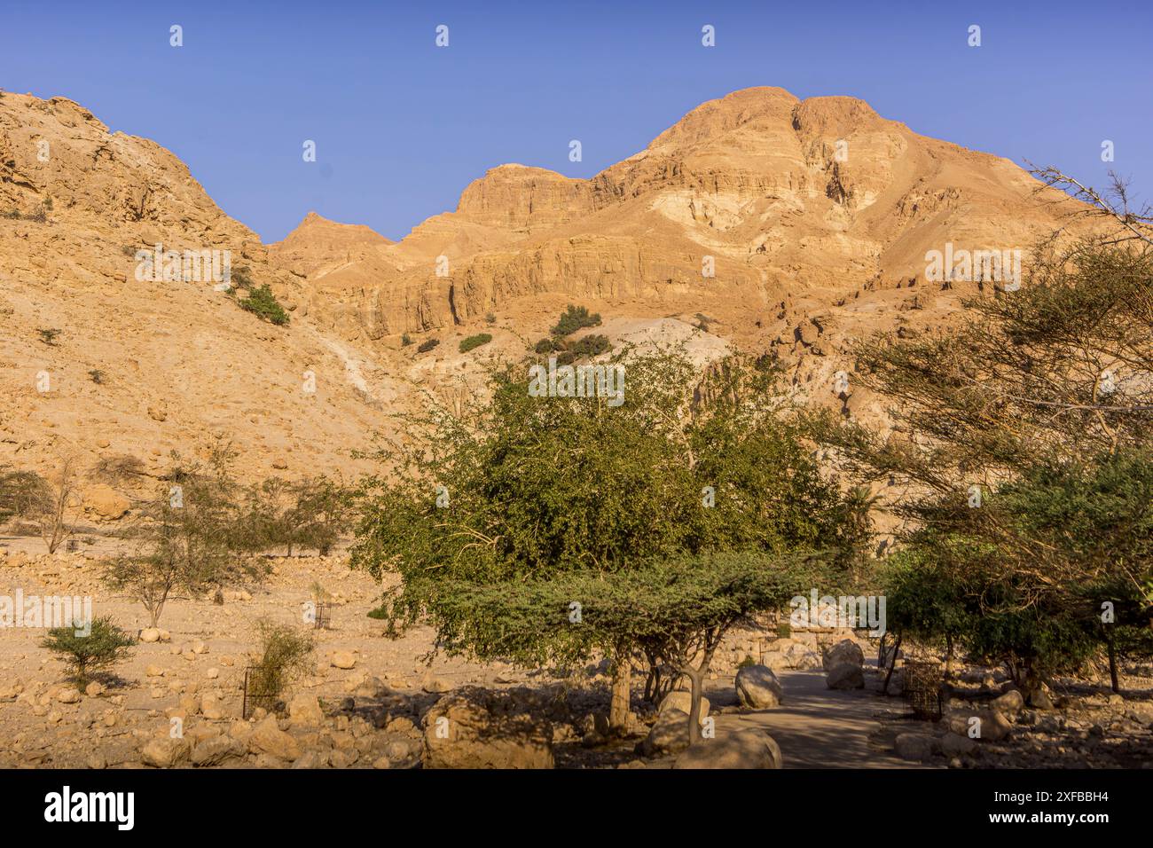 The scenic orange rocks of Ein Gedi national park (part of Judean ...