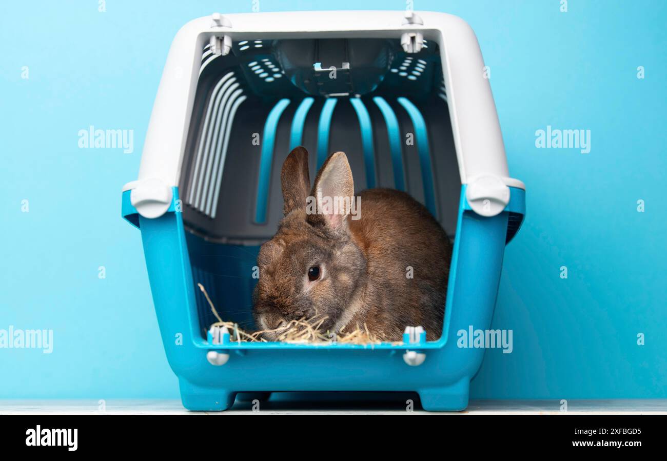 Animal transport cage hi-res stock photography and images - Alamy