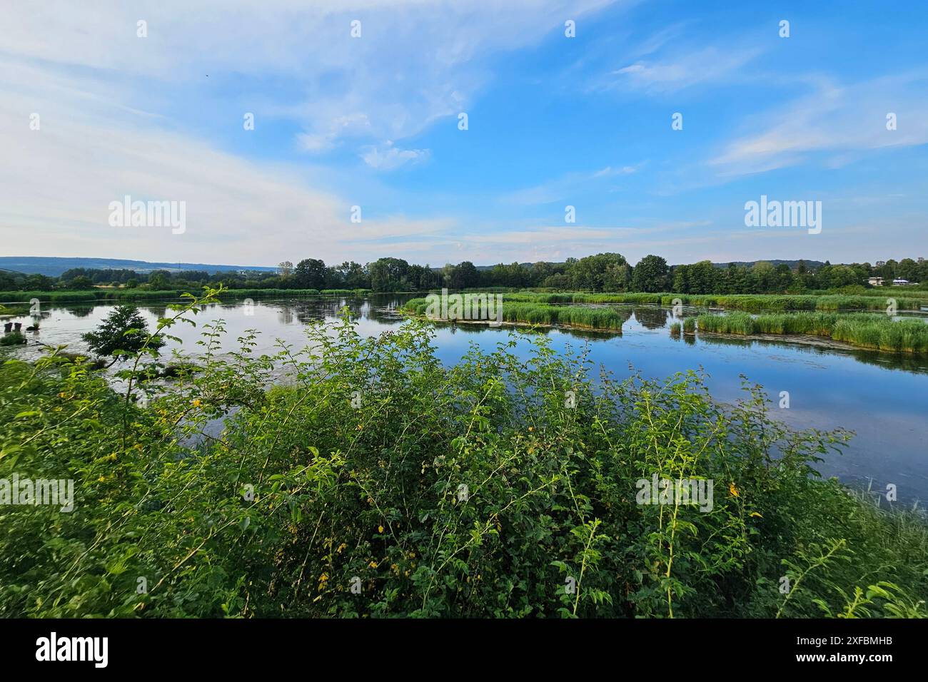 Die See- und Auenlandschaft des Dillinger See zaehlt den EU-Vogelschutzgebieten an der Saar   Themenfoto: Natur, Landschaft, Deutschland, Saarland, Oekosee Dillingen, 02.07.2024  Foto: Eibner-Pressefoto/Juergen Augst Stock Photo