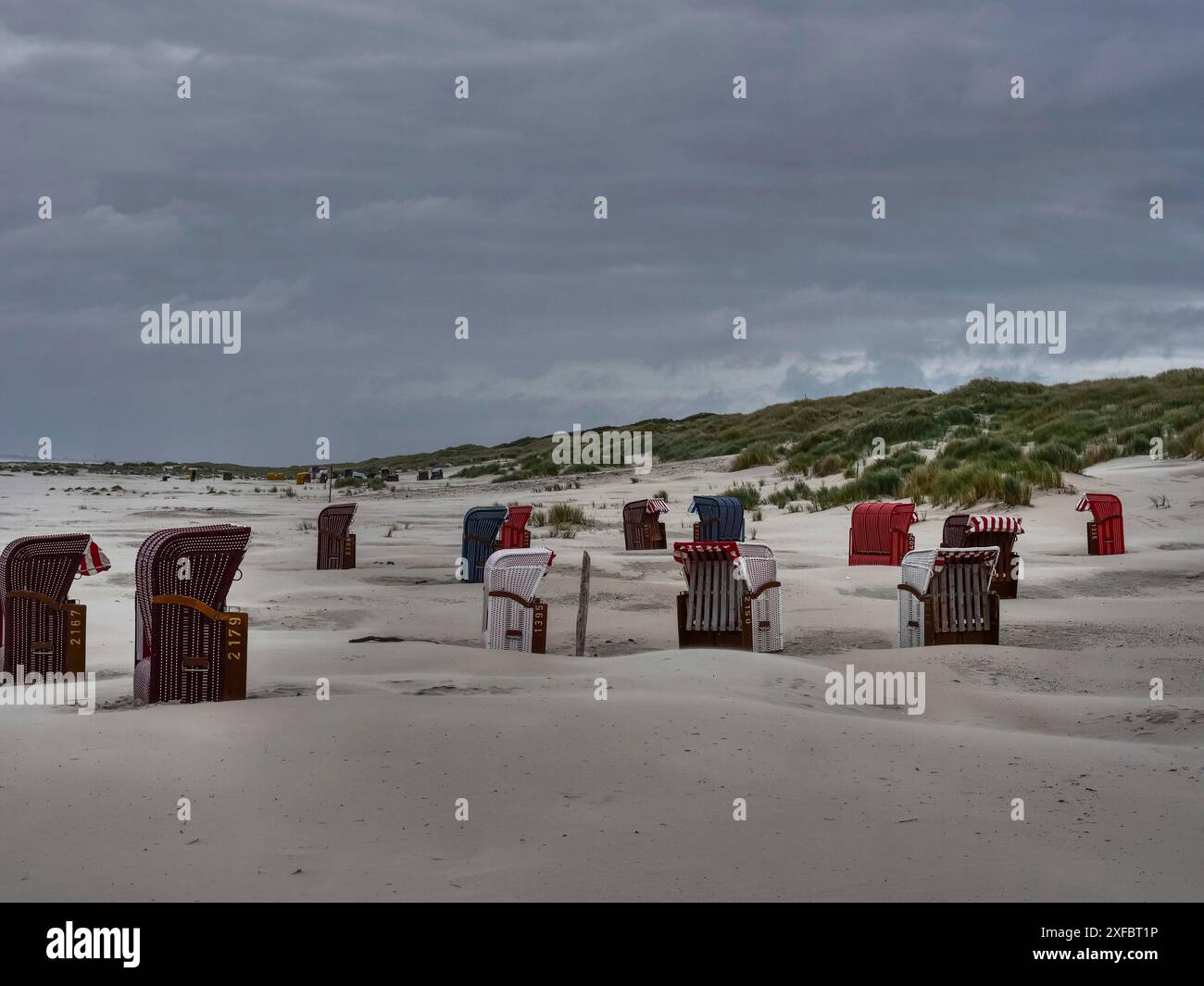 Abandoned beach chairs lined up on the beach in front of a dune ...