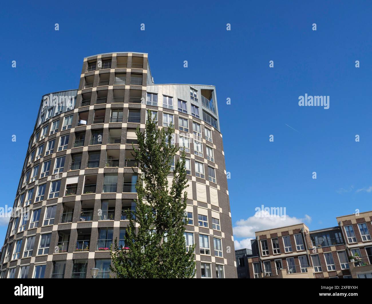 A modern multi-storey building with rounded corners, next to a tree ...