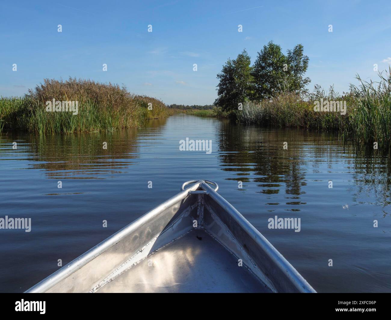 View from a boat on a narrow waterway surrounded by reeds and trees under a blue sky, Giethoorn, the Netherlands Stock Photo