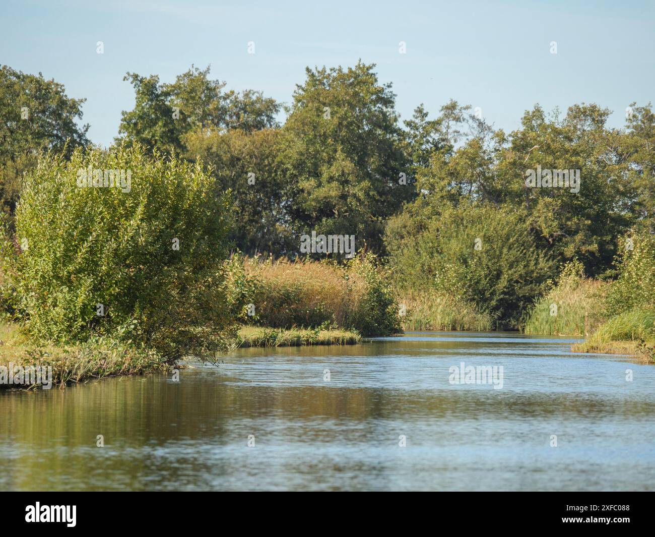 Quiet river course through green riverside vegetation under a clear ...