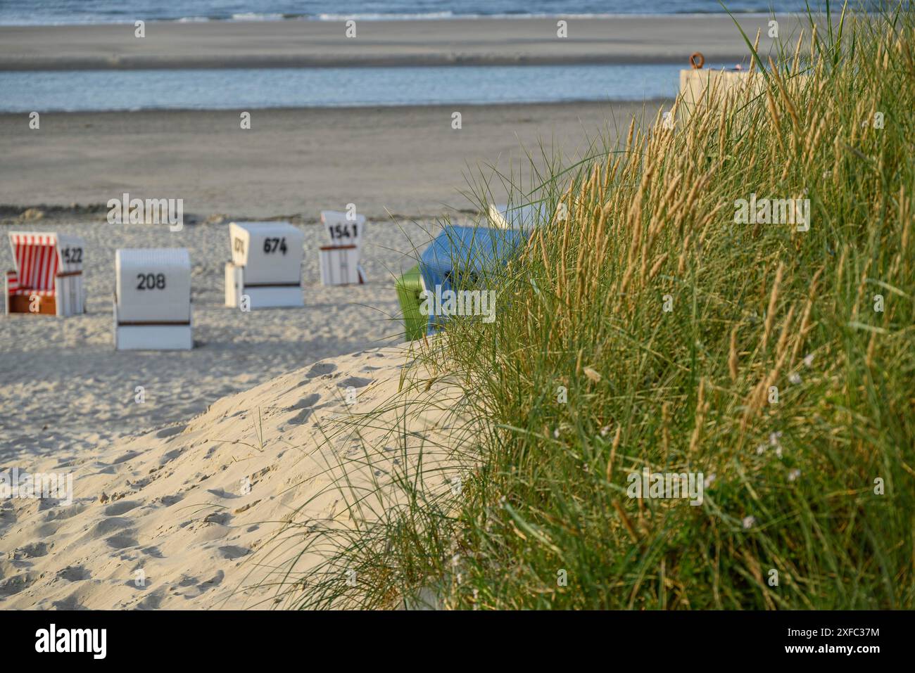 Dunes and beach chairs on the coastal beach with a view of the sea in a ...