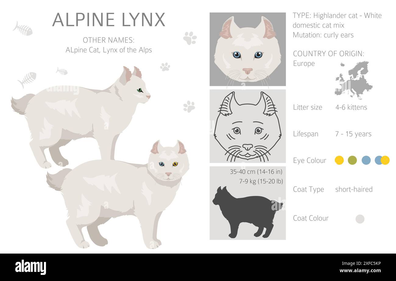 Alpine Lynx clipart. Highlander, All coat colors set. All cat breeds ...