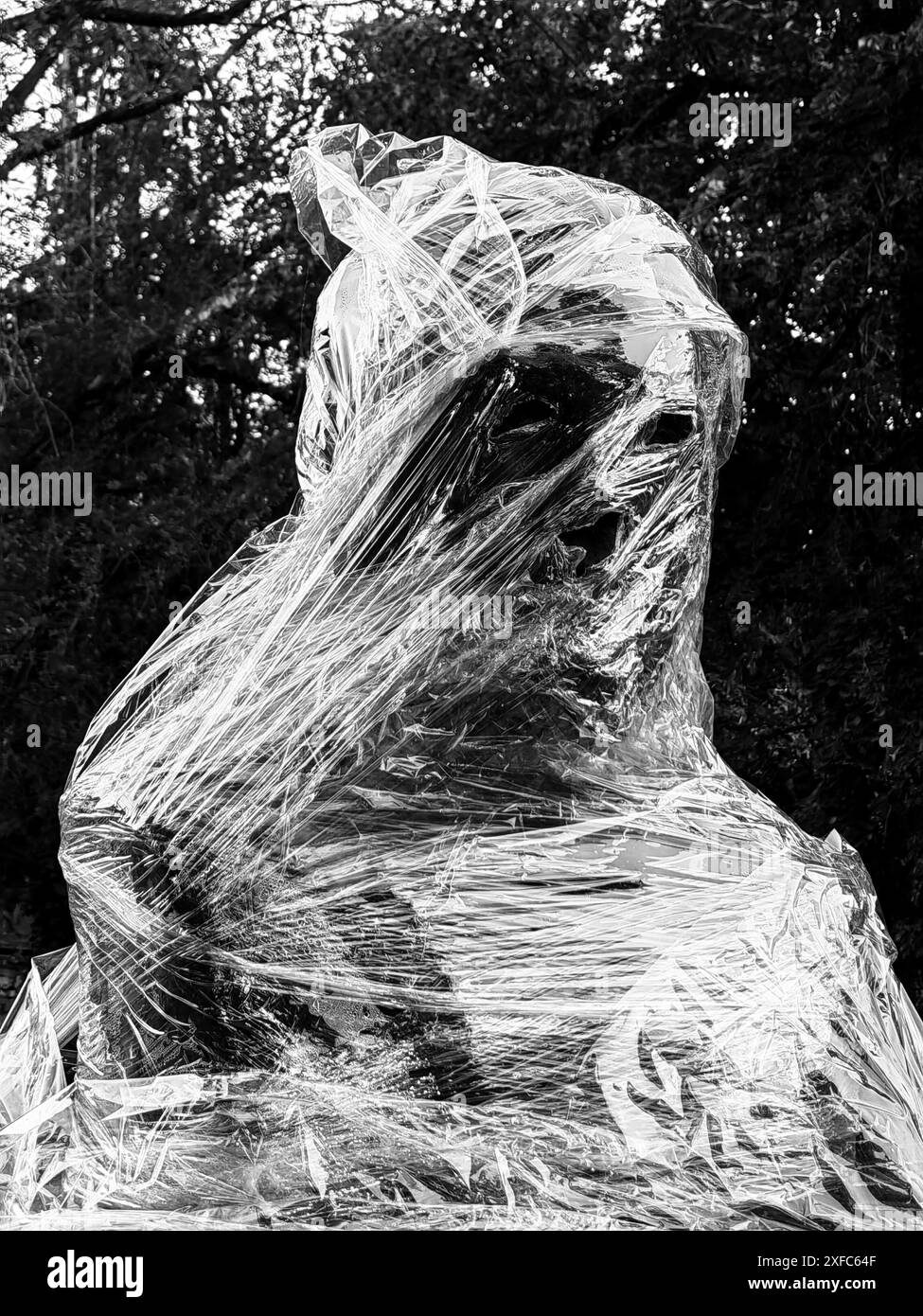 Creepy Face, Wrapped in Nylon. Halloween Theme , concept. Black and white, monochrome detail. Stock Photo