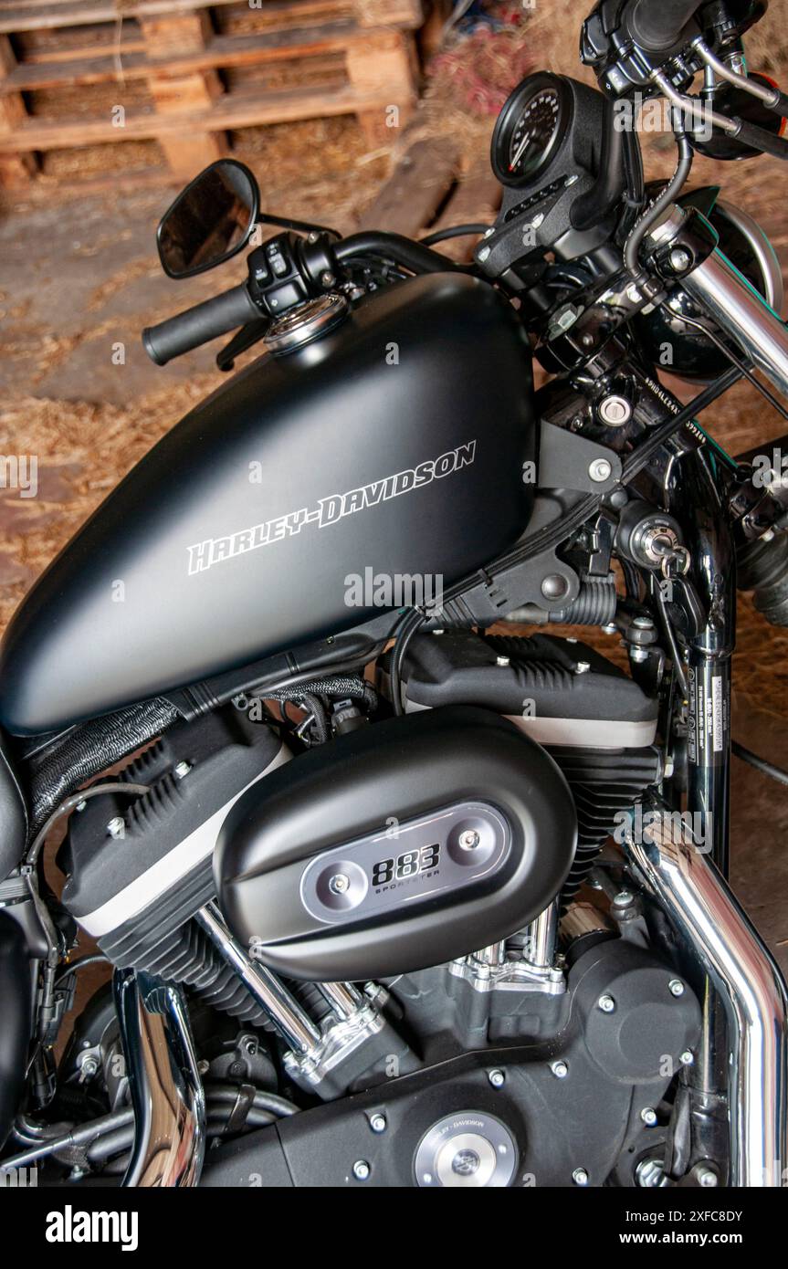 Harley davidson 883 hi-res stock photography and images - Alamy
