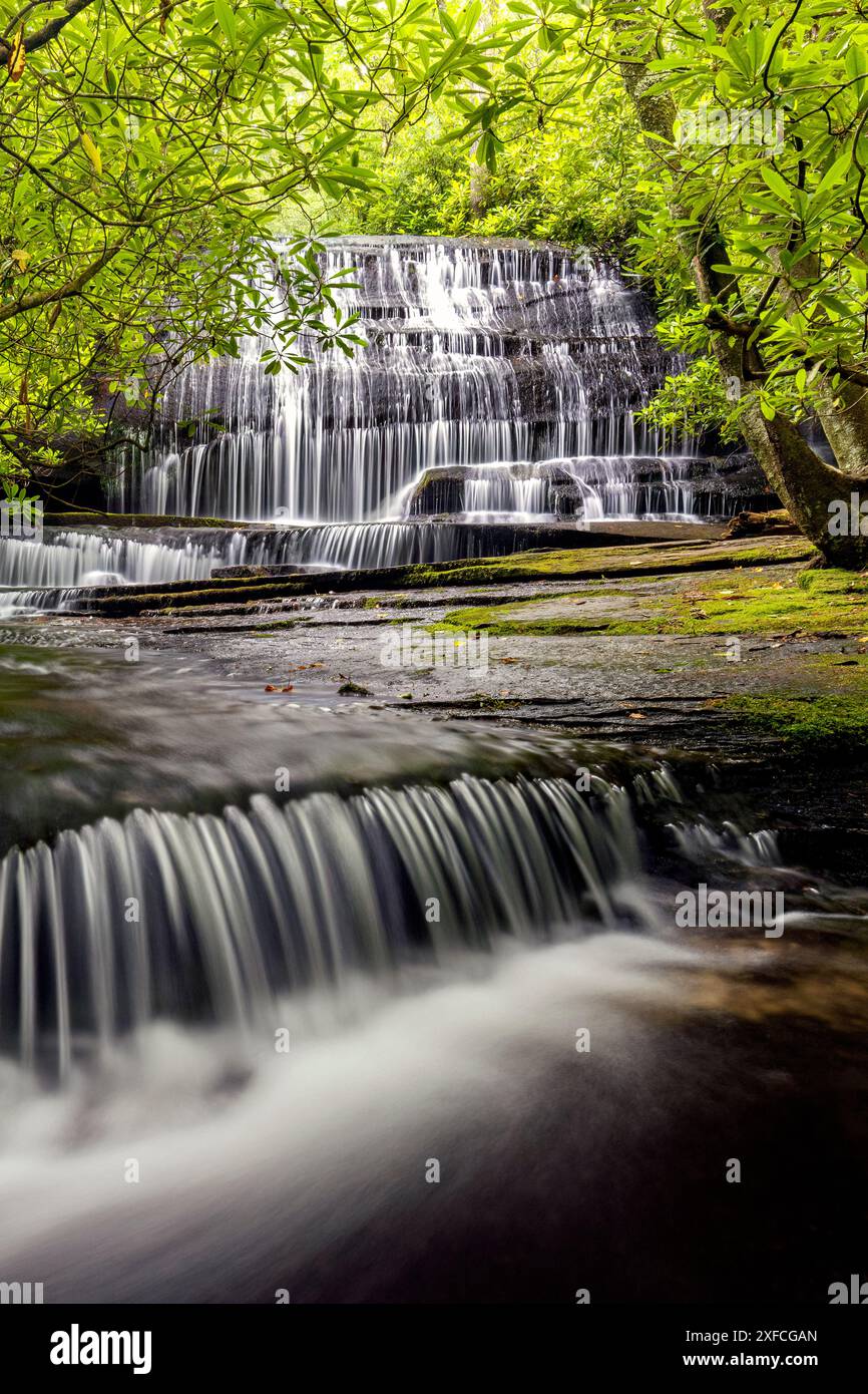 Grogan Creek Falls (or Falls on Grogan Creek) - Butter Gap Trail, Pisgah National Forest, near Brevard, North Carolina, USA Stock Photo