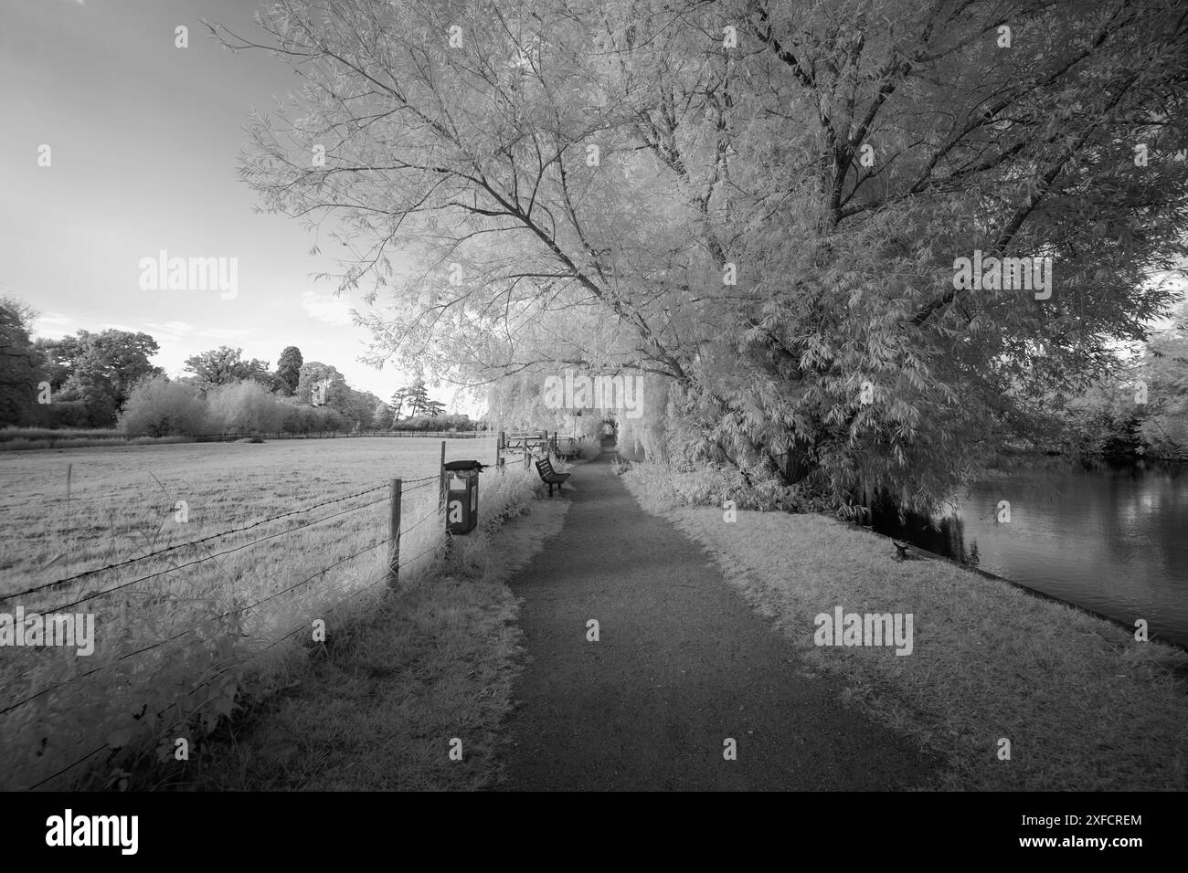 Thames Path, Wallingford in Infrared Stock Photo