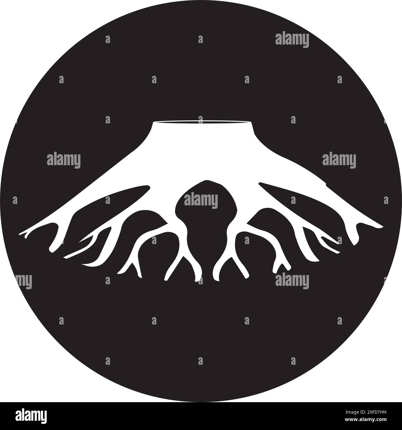 tree root icon vector illustration symbol design Stock Vector Image ...