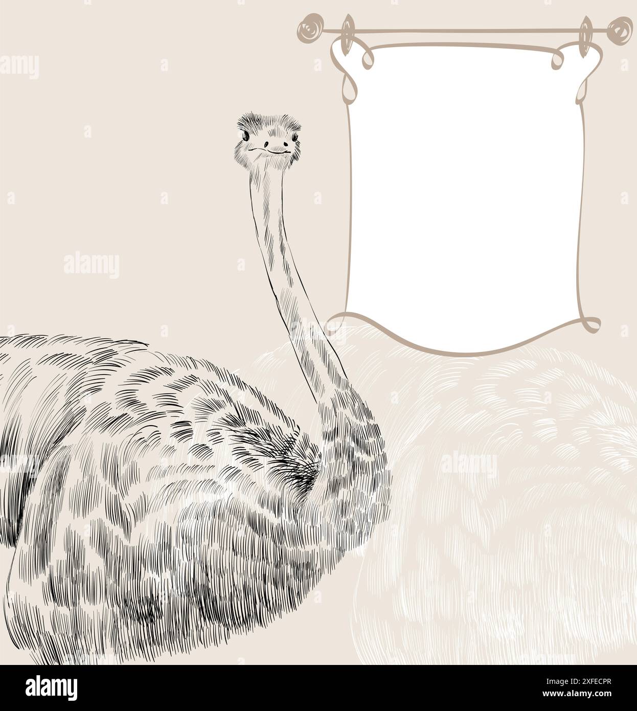 Vector sketch ostrich on the beige background. Stock Vector