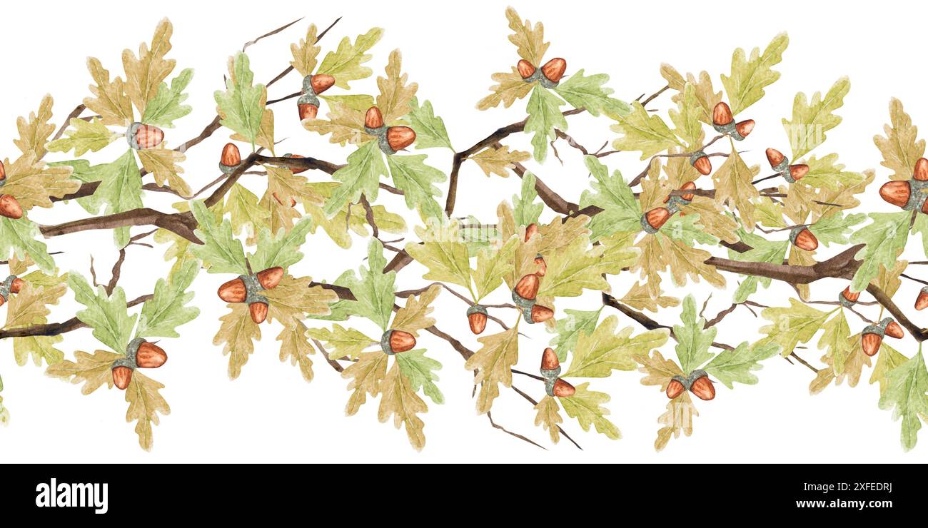 Watercolour oak leaf acorns hi-res stock photography and images - Alamy