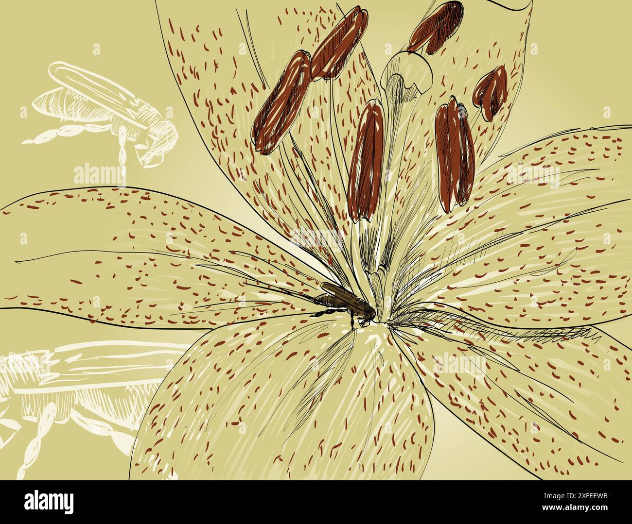 Bee lily vector vectors hi-res stock photography and images - Alamy