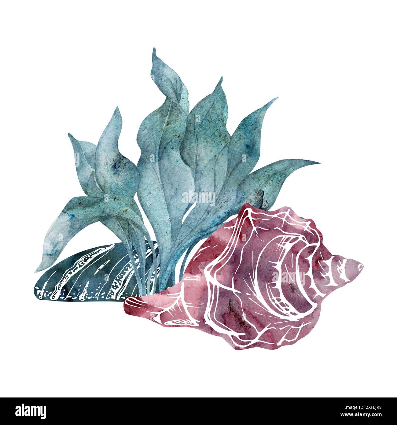 Watercolor and ink hand drawn marine life, sea ocean underwater creatures. fish, shells algae seaweed. Composition illustration, stylized, isolated on Stock Photo