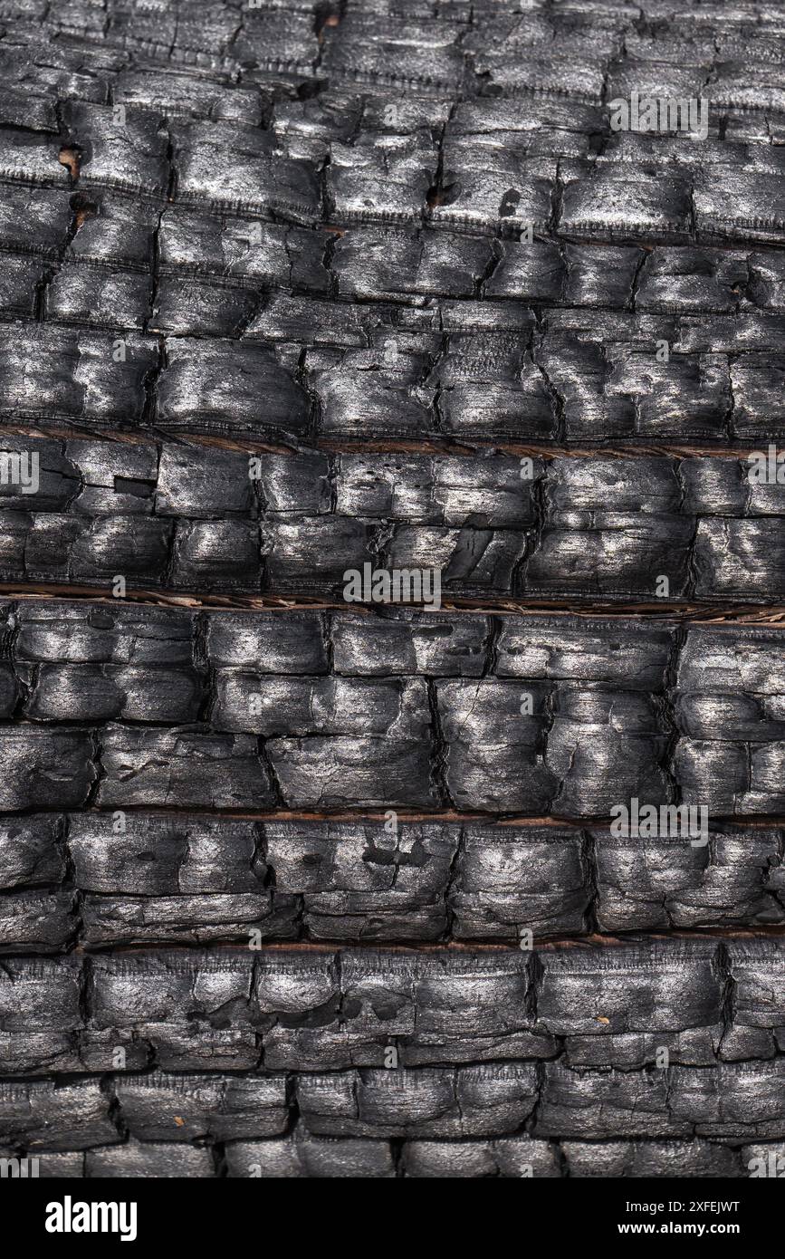 Background surface texture black burnt wood Stock Photo - Alamy