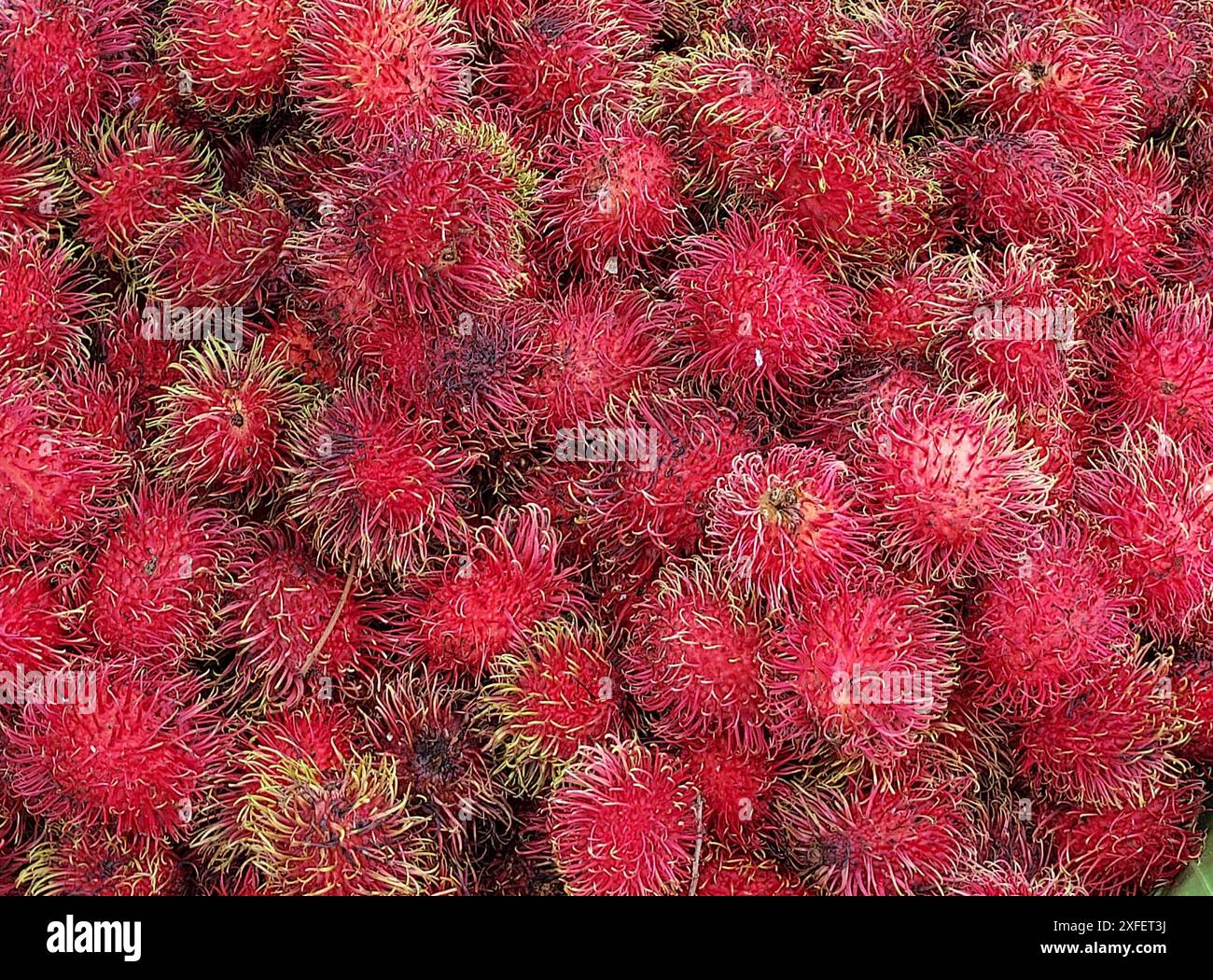 Unpeeled rambutan hi-res stock photography and images - Alamy