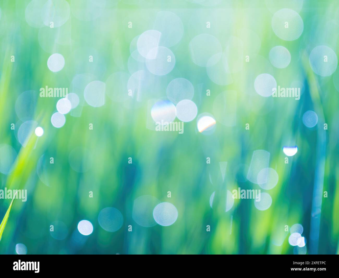 Green blured abstract background hi-res stock photography and images ...