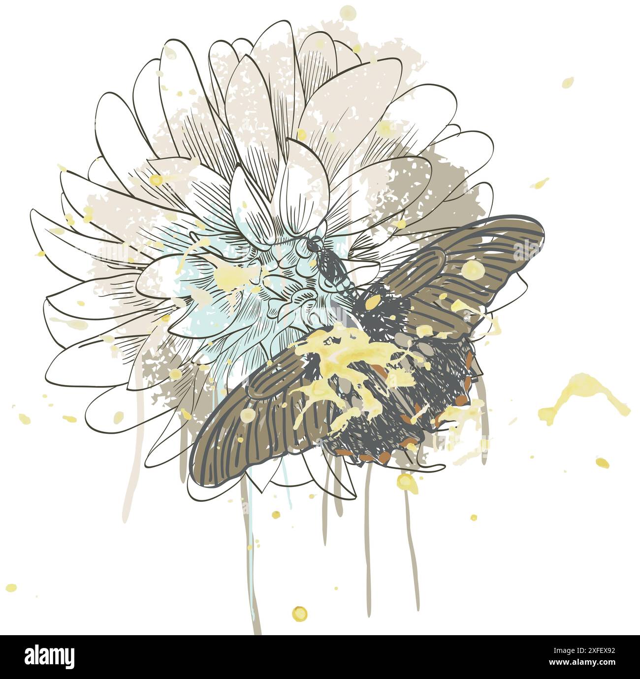 butterfly and daisy Stock Vector Image & Art - Alamy