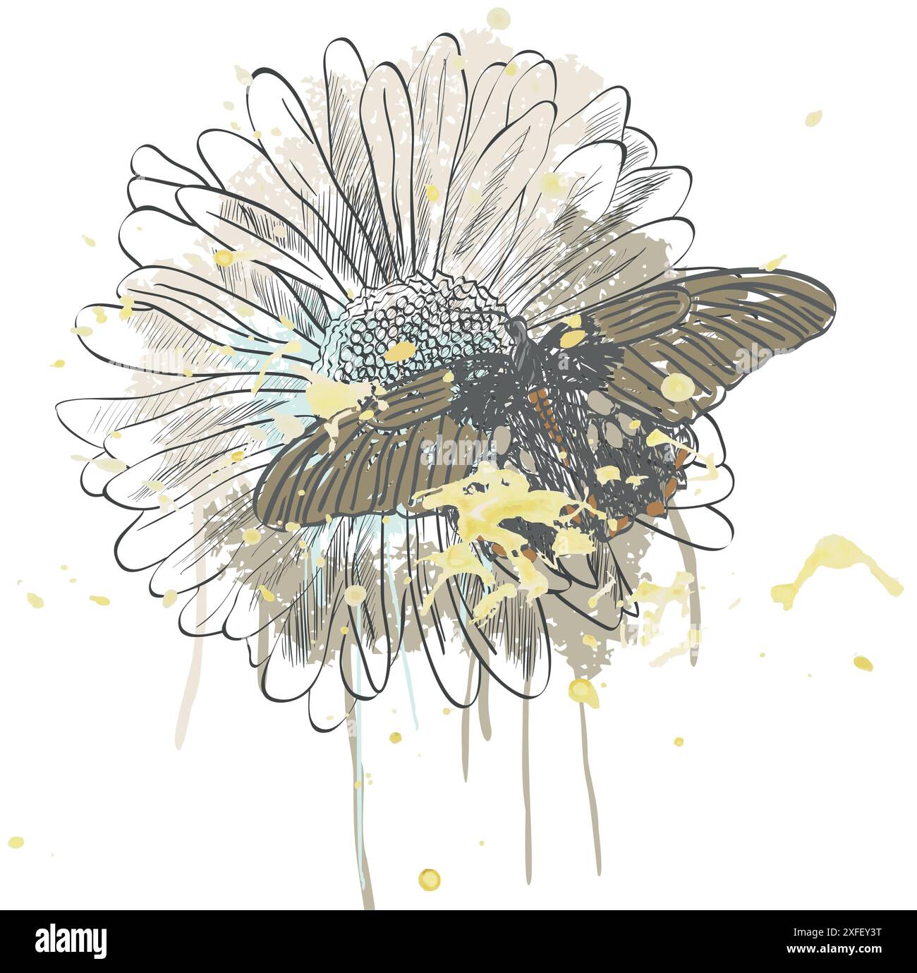 butterfly and daisy Stock Vector Image & Art - Alamy