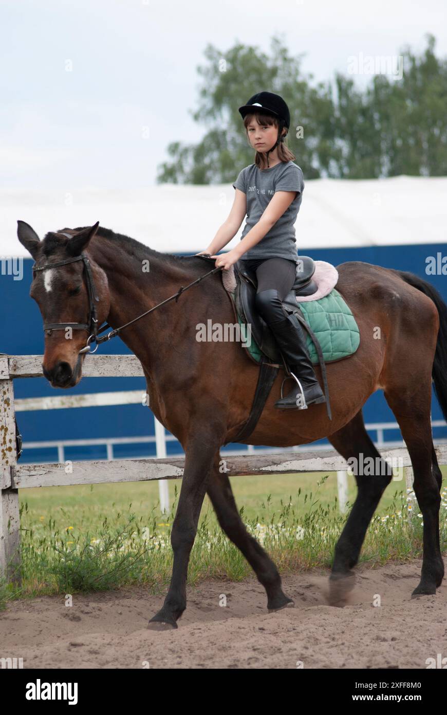 Teenage girl learning to ride a horse at a walk Stock Photo - Alamy