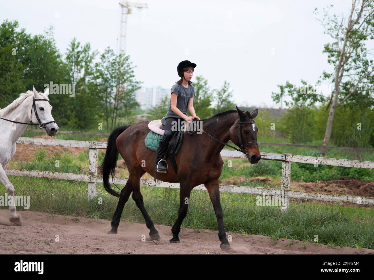 Teenage girl learning to ride a horse at a walk Stock Photo - Alamy