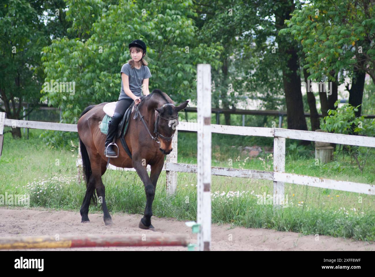 Teenage girl learning to ride a horse at a walk Stock Photo - Alamy