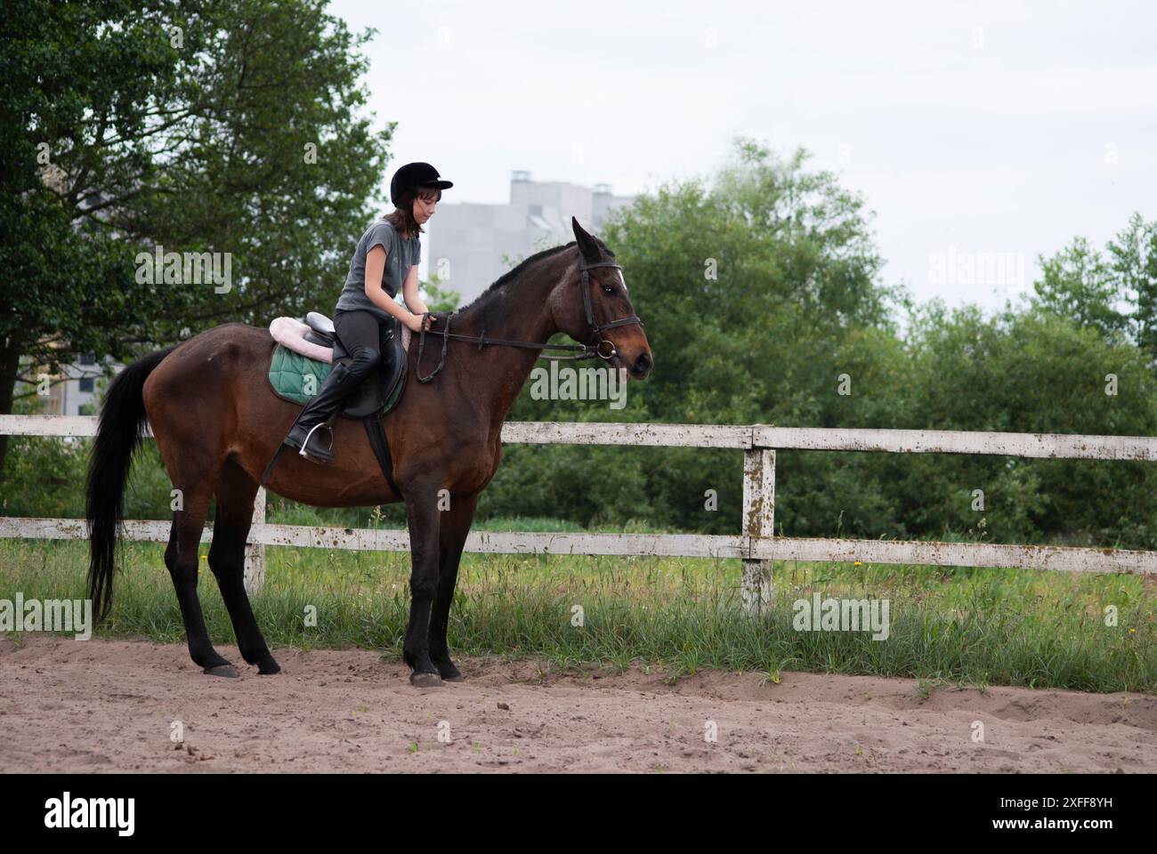Teenage girl learning to ride a horse Stock Photo - Alamy