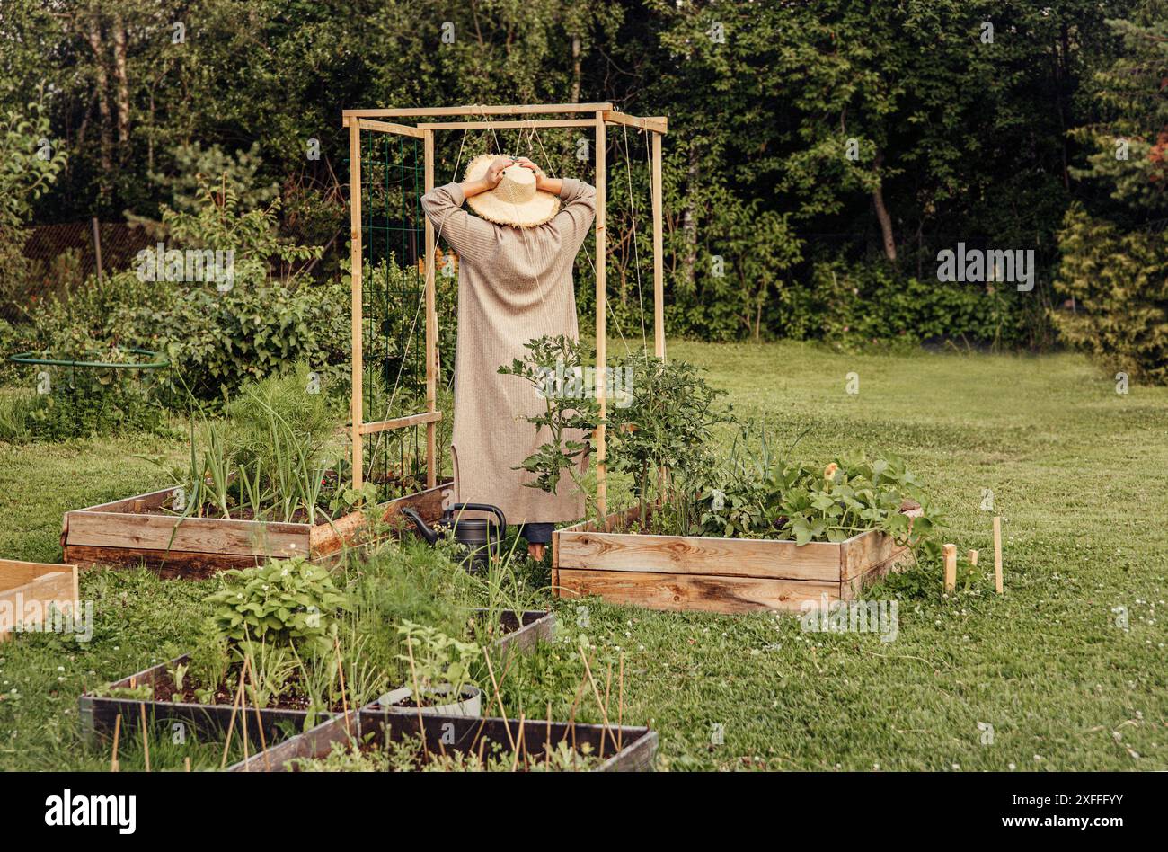 Problems and mistakes in gardening. Young modern gardener woman standing between vegetable garden and holding head with hands. Outdoors in summer. Stock Photo