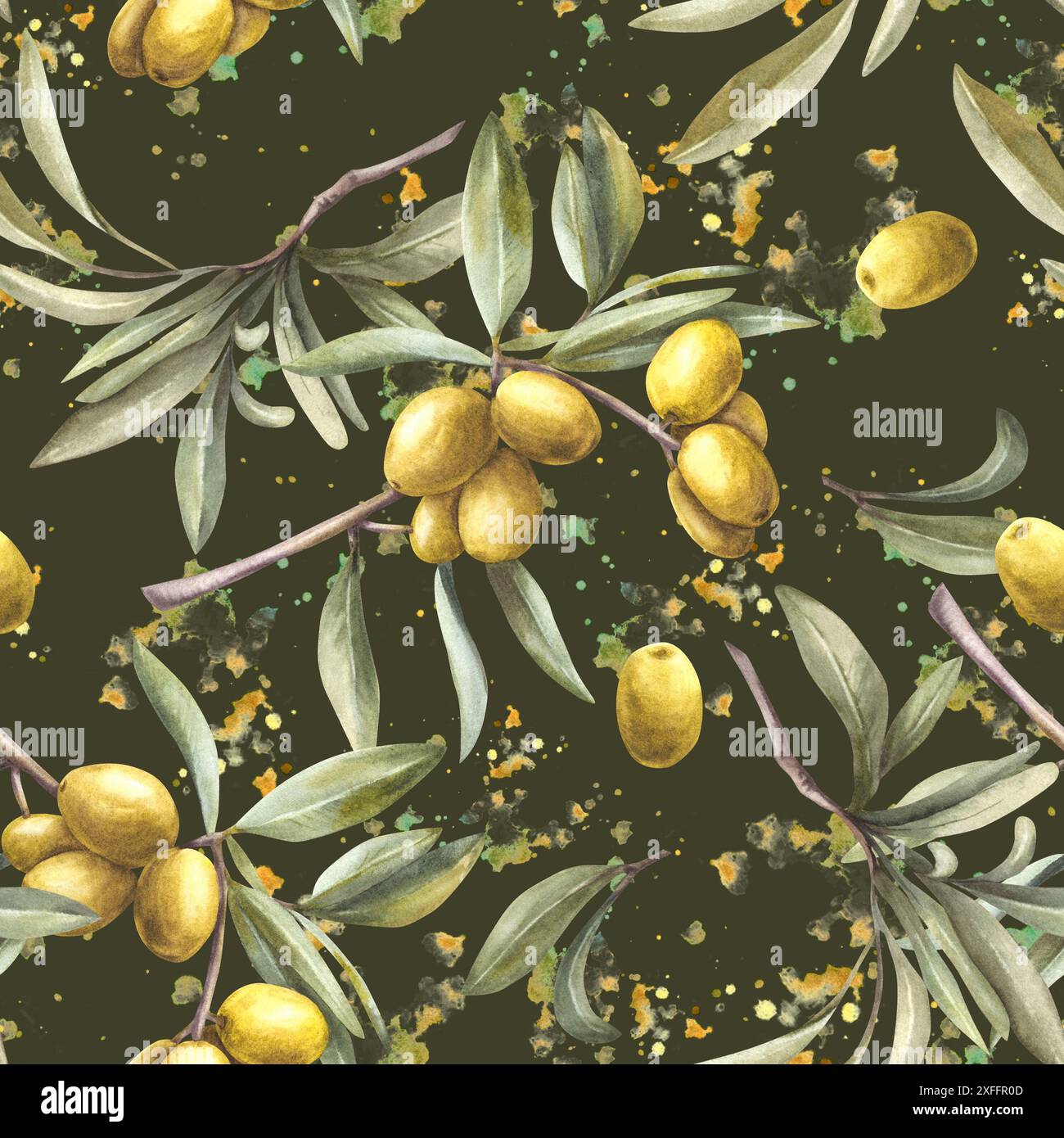 Olive tree branch with green leaves and berries on watercolor splashes ...