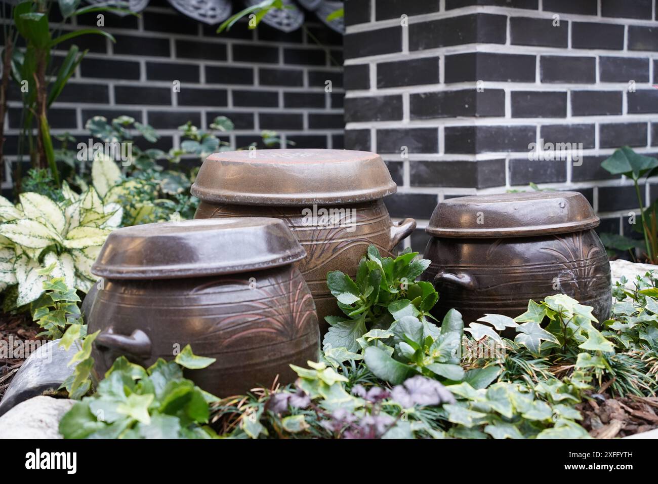 Traditional earthen jars used for aging gochujang and kimchi Onggi are