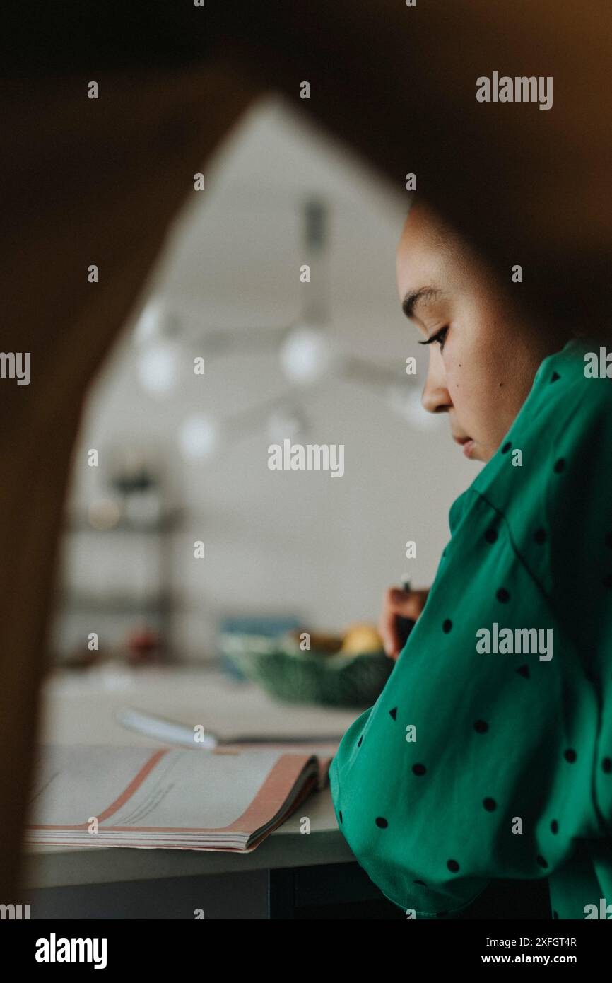 Focused girl doing homework at home Stock Photo
