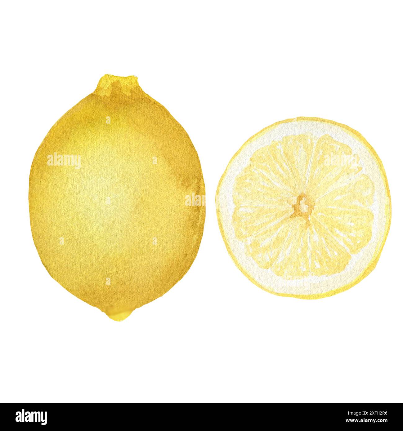 Watercolor lemon set, whole and cut isolated on white background ...