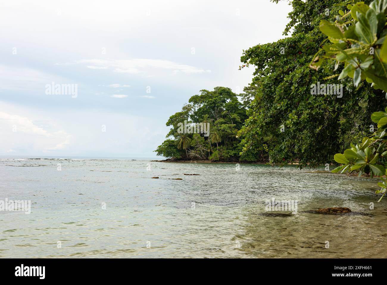 beach in the Refugio Nacional de Vida Silvestre Gandoca Manzanillo or
