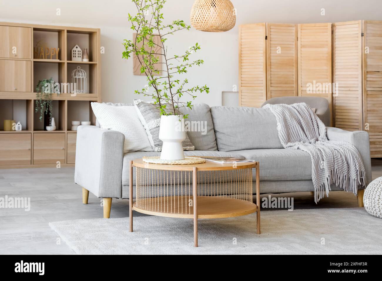 Interior of stylish living room with cozy sofa, coffee table and ...