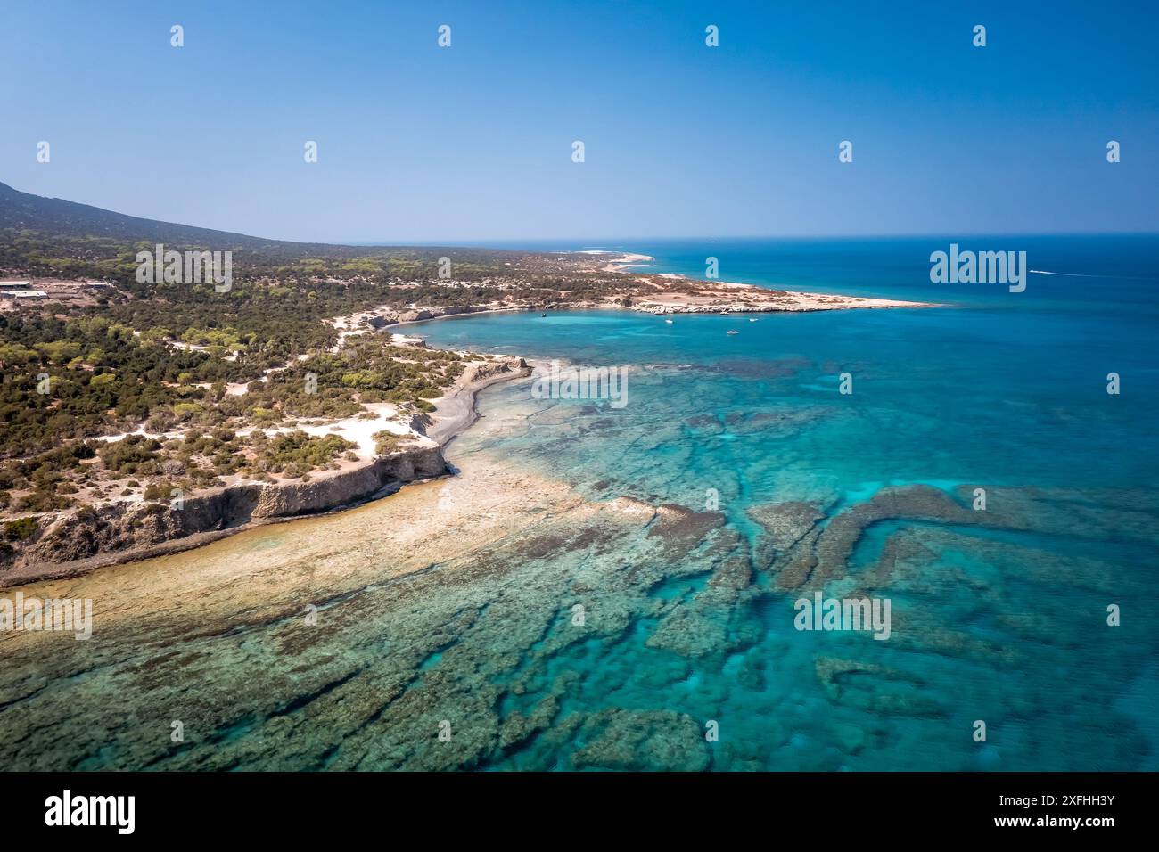Stunning view lush vegetation hi-res stock photography and images - Alamy