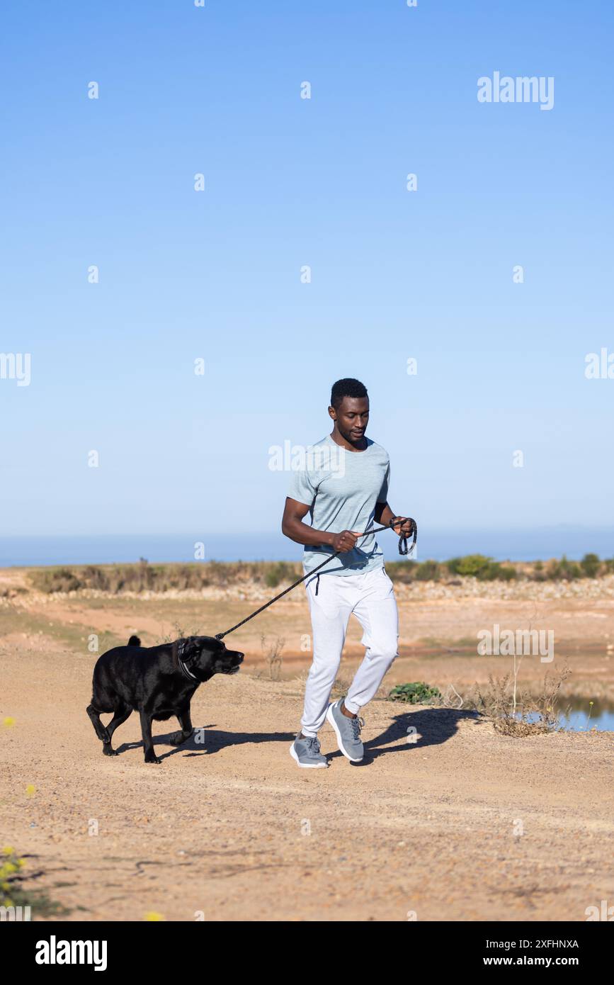 Walking black dog on leash, man enjoying outdoor exercise in nature, copy space Stock Photo