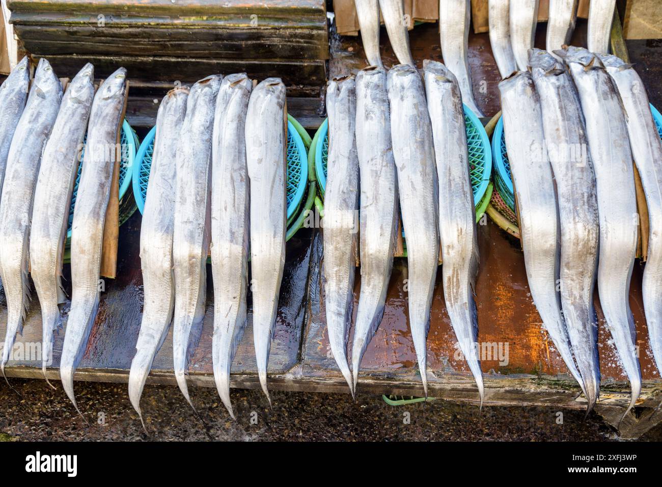 Top view of freshly caught fish at fish market. Fresh seafood Stock ...