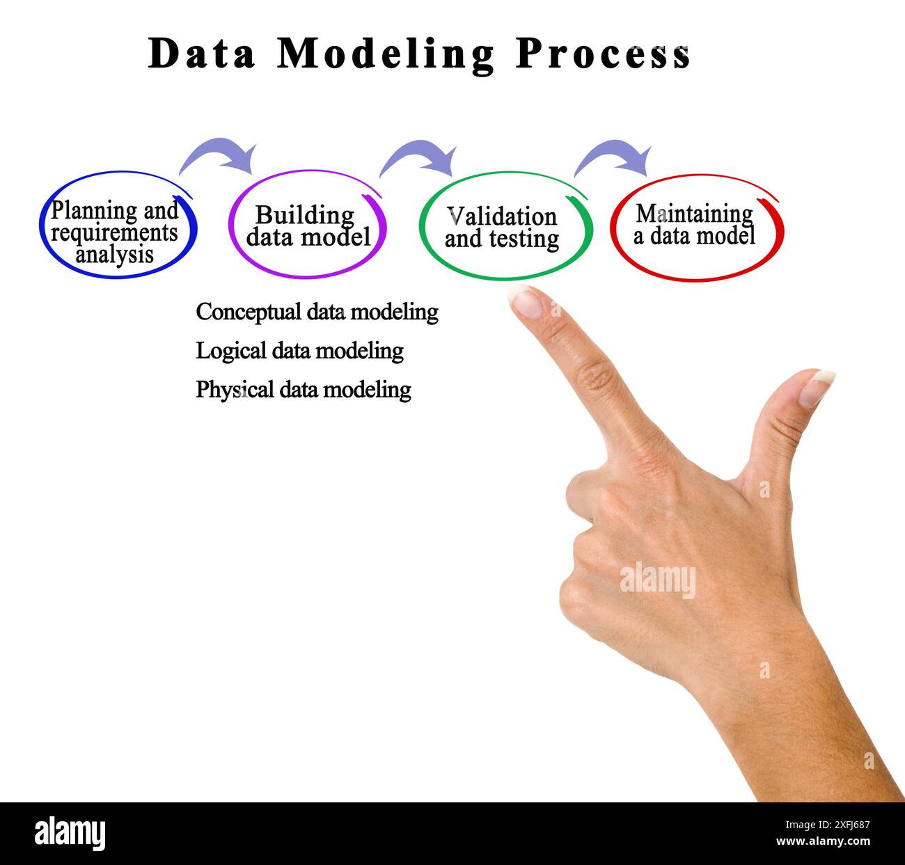 Components of Data Modeling Process Stock Photo - Alamy