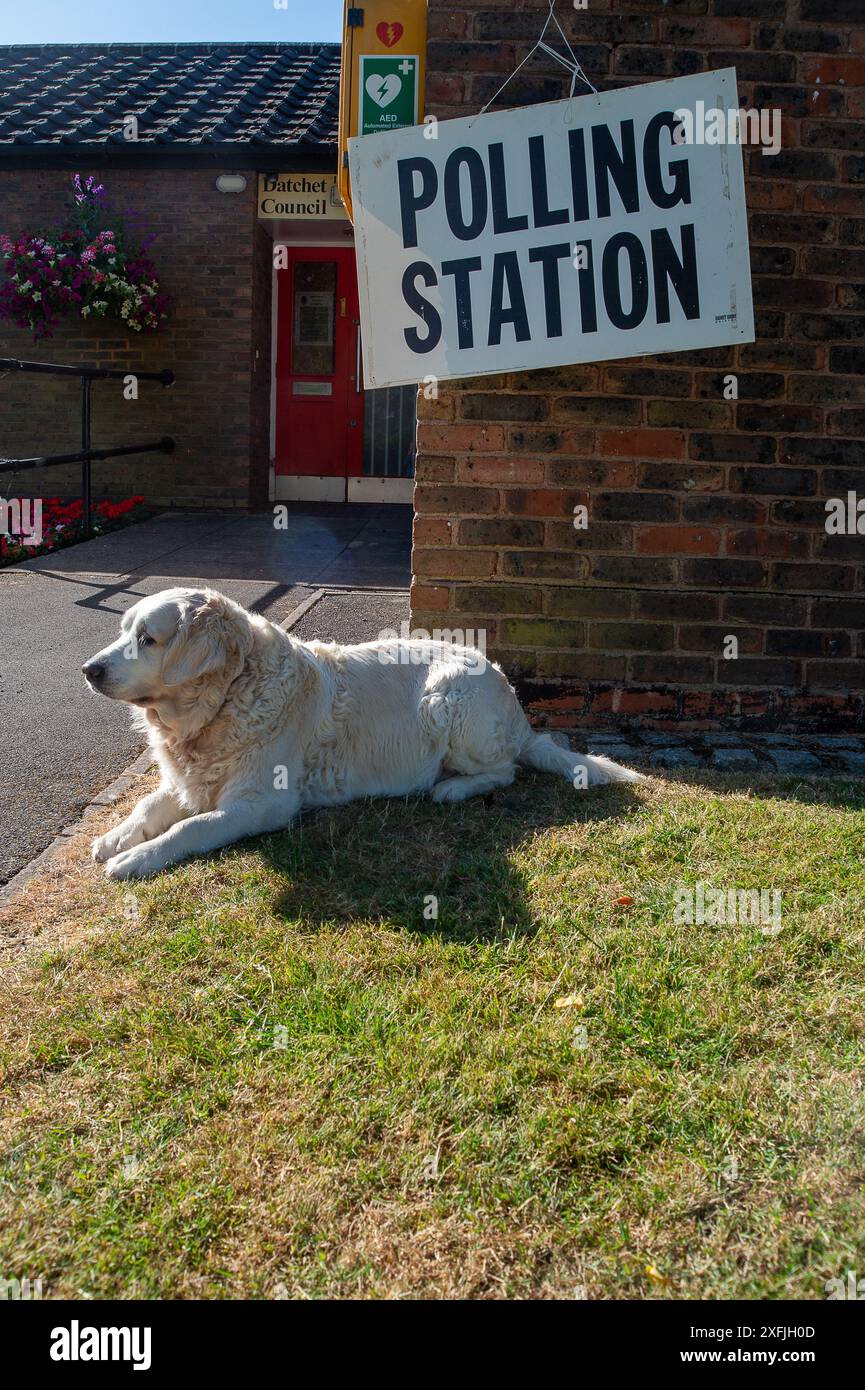 Datchet, UK. 4th July, 2024. Bear a Golden Retriever out on the school run stops for a photo outside a Polling Station on General Election Day in the village of Datchet, Berkshire. Credit: Maureen McLean/Alamy Live News Stock Photo