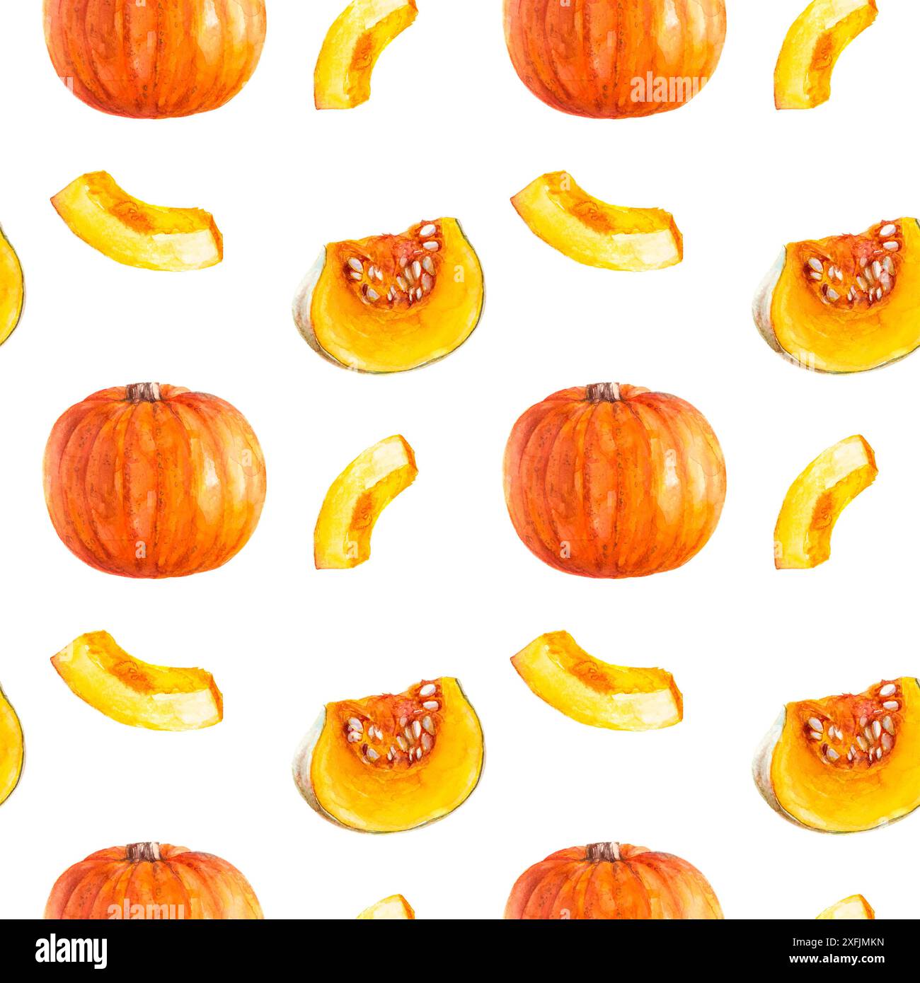 Pattern of pumpkins on white background for agriculture, culinary ...