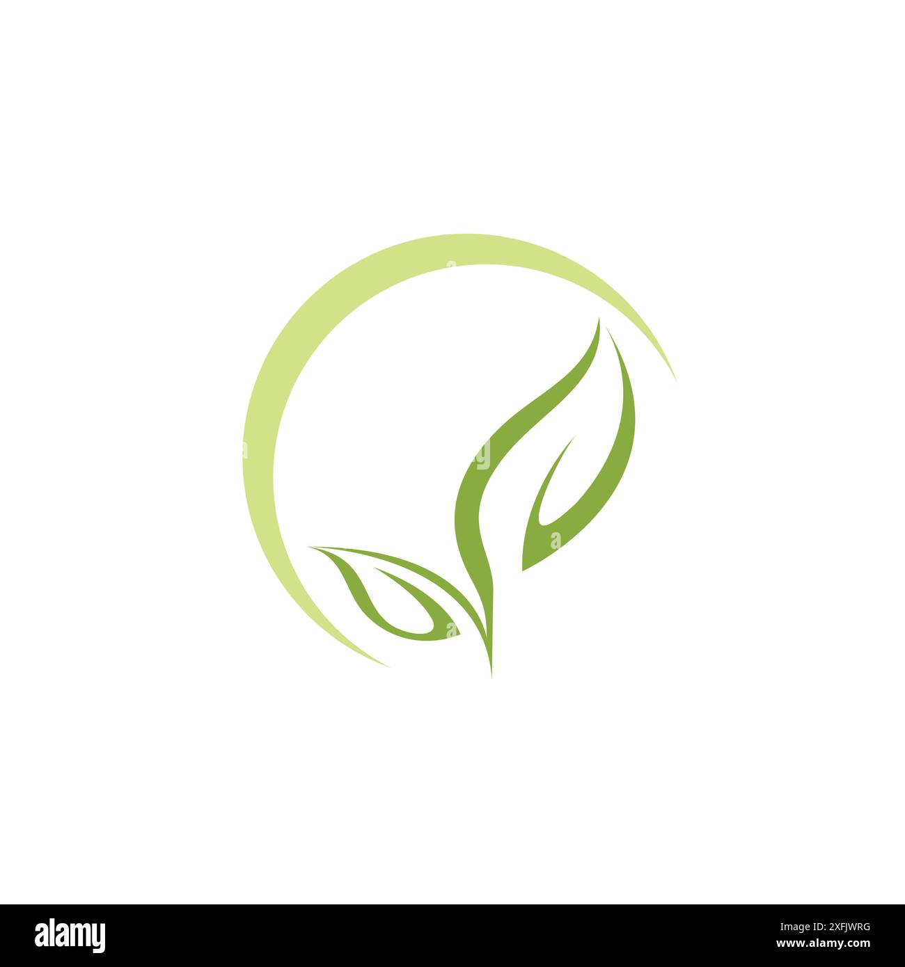Leaf Growth Logo Vector. Green leaf Icon Stock Vector