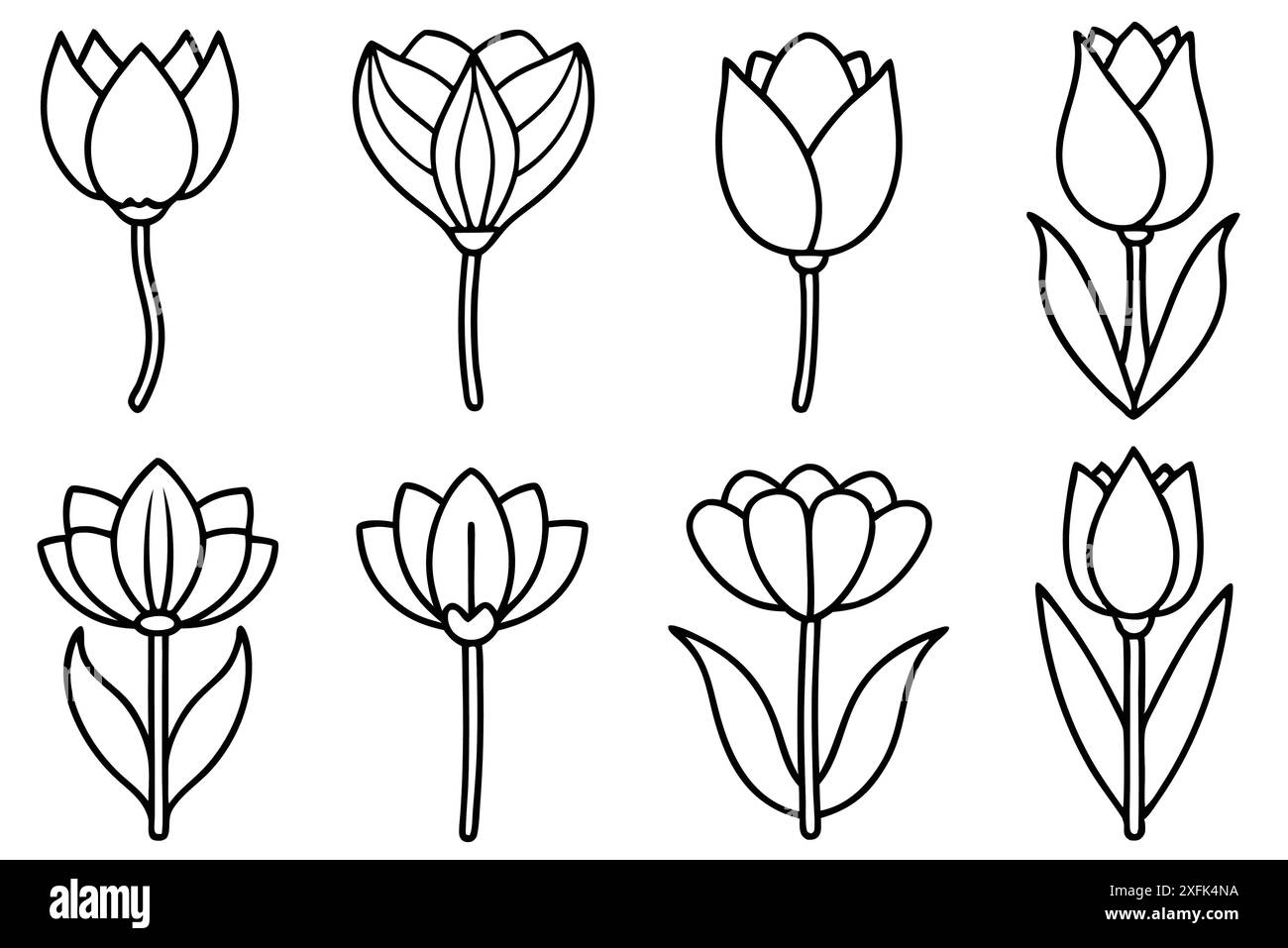 Tulip Flower Line Art Advanced Techniques Stock Vector Image & Art - Alamy