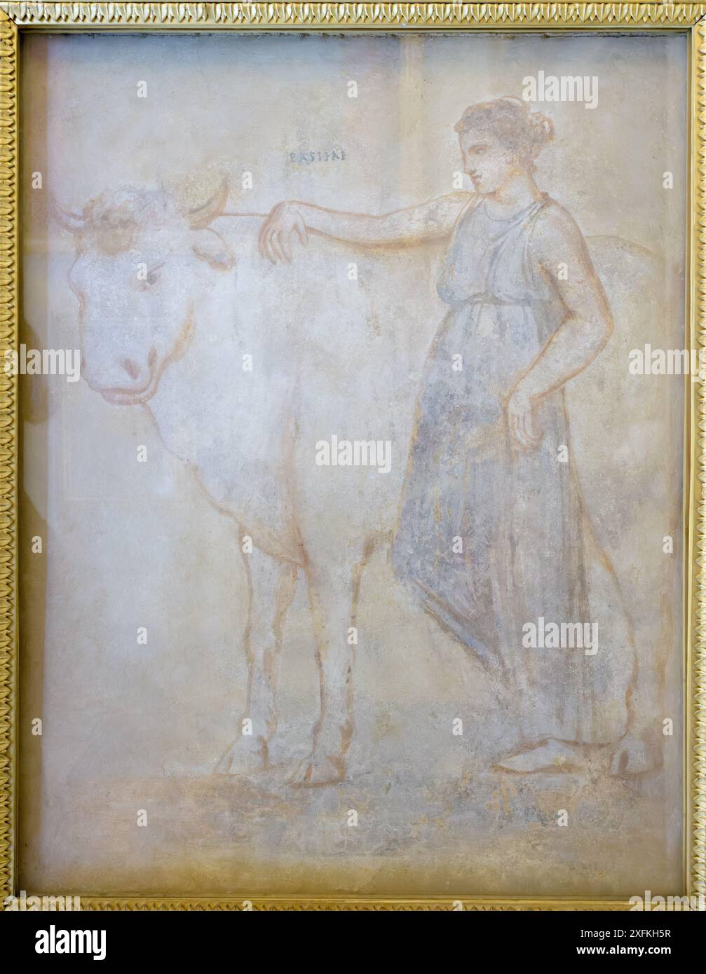 Fresco depiction of the Minotaur myth. Pasiphae, wife of King Minos with white bull Stock Photo